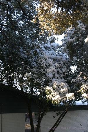 104_0490